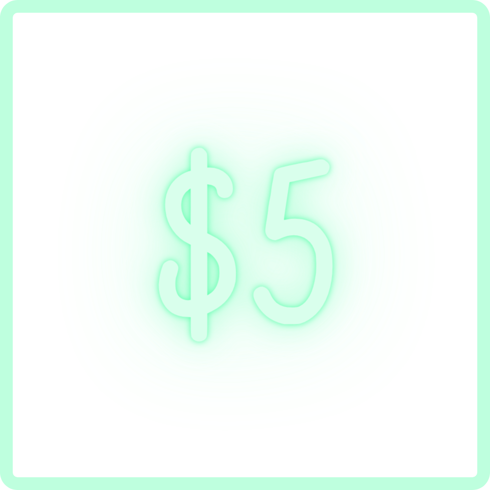 $5